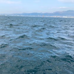 求めていたアジング